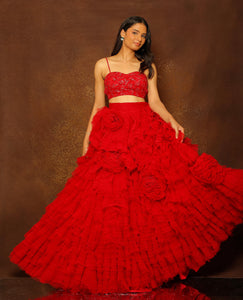 Ruby Red Tulle Layered Skirt Set