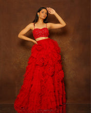 Load image into Gallery viewer, Ruby Red Tulle Layered Skirt Set