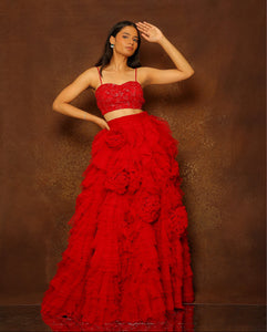 Ruby Red Tulle Layered Skirt Set