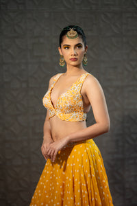 Tuscan Sun Zinnia Lehenga Set