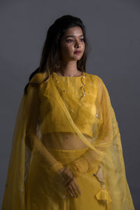 Tuscan Sun Lehenga Set