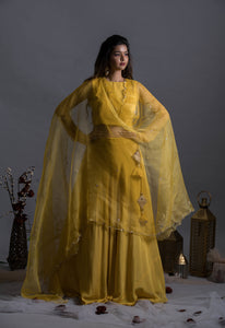 Tuscan Sun Lehenga Set